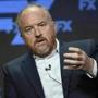 FILE- In this Aug. 9, 2017, file photo, Louis C.K., co-creator/writer/executive producer, participates in the 