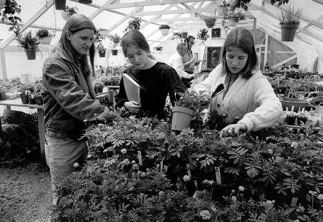 Students worked in the greenhouse, in 1976, at Hampshire College, which encourages educational experimentation.
