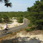 A woman raced down a steep hill on a path through the sand dunes of the Cape Cod National Seashore park in Provincetown, where Mary Oliver lived and wrote.
