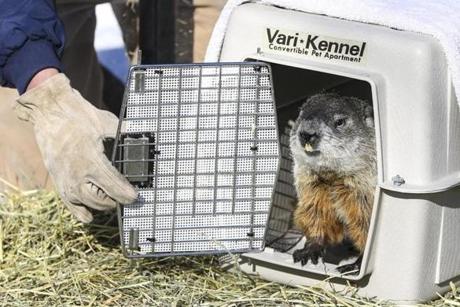 The state?s official groundhog, Ms. G, saw her shadow when she emerged from hibernation Saturday morning.
