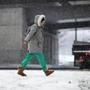 A pedestrian walked near the TD Garden in the snow on Feb. 11. 