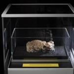 The remnant of a so-called fatberg was displayed at the Museum of London last year.