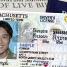 Sample of a Massachusetts Real ID license from the RMV website.