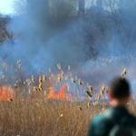 A brush fire broke out in the Fens on Thursday. 
