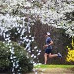 Charlotte, N.C.-March 25,2019-Stan Grossfeld/Globe Staff--hold for Matt Pepin-Jimmie Johnson on a training run at Freedom Park He hopes to complete the Boston Marathon-his first- in three hours.