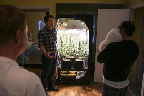 Ipswich, MA--03/21/2019--Evan Heenehan of Home Grow Community LLC. visits a client's house in Ipswich, MA to check in on their homegrown cannabis plants on Thursday evening. (Nathan Klima for The Boston Globe) Topic: 13homegrow Reporter:
