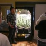 Ipswich, MA--03/21/2019--Evan Heenehan of Home Grow Community LLC. visits a client's house in Ipswich, MA to check in on their homegrown cannabis plants on Thursday evening. (Nathan Klima for The Boston Globe) Topic: 13homegrow Reporter: