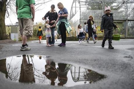 Puddles lined the grounds of Stone Zoo in Stoneham on Saturday.
