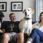 Rick Rodriguez and Gayle Saks, with Lola and Gronk, in their dog-friendly apartment. 