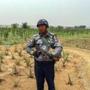 In this photo taken on Thursday, April 25, 2019, Myanmar police stands guard at a marijuana plantation in Ngazun township, Myanmar. American John Fredric Todoroki, 63, and two local partners were arrested after police on Monday raided their plantation on an industrial estate in Myanmar's central Mandalay region, where they said they found about 349,300 marijuana plants, 380 kilograms (838 pounds) of marijuana seeds and 1,804 grams (64 ounces) of marijuana oil, along with drug processing equipment. (AP Photo)