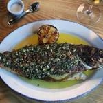 The whole branzino with a sauce of lemon, garlic, and herbs at Buttonwood Restaurant.